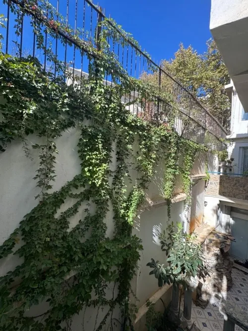 Location Villa Alger Hydra