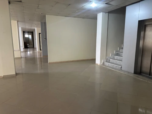 Location Immeuble Alger Dely brahim