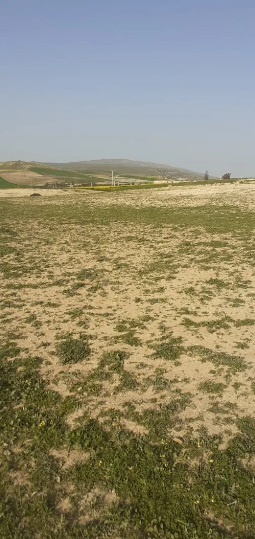 Vente Terrain Bordj Bou Arreridj El achir