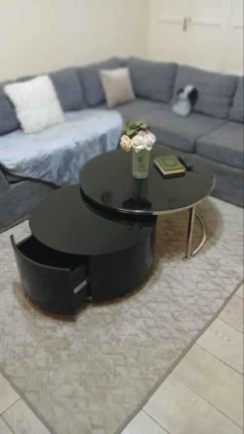 Table basse en inox avec rangement 