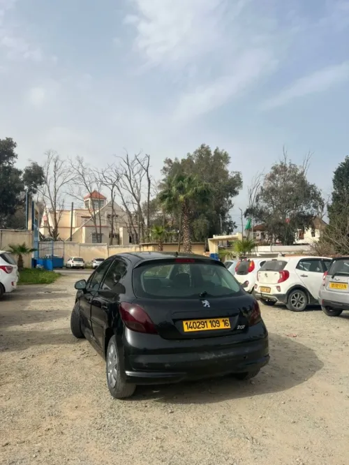 Peugeot 207 2009 Premium