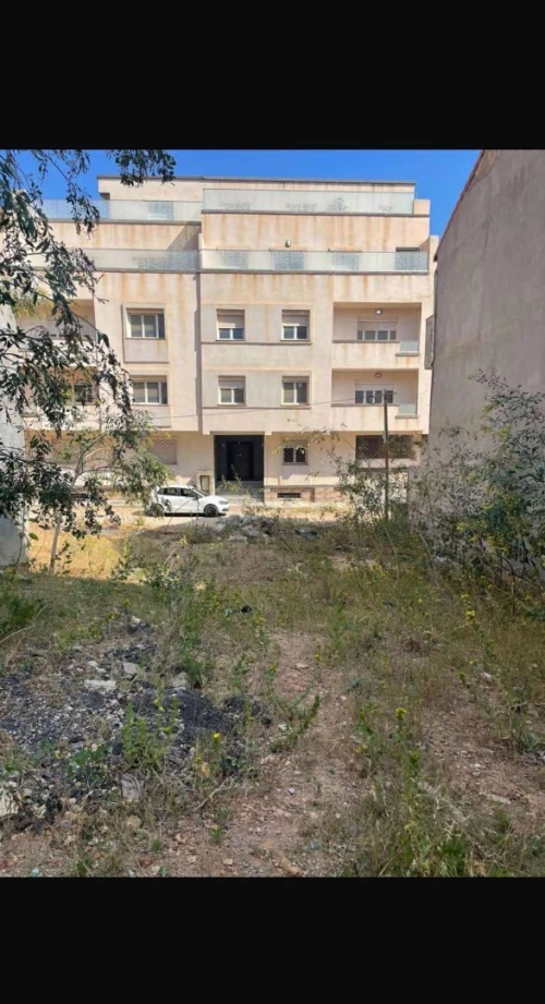 Vente Terrain Tipaza Bou ismail