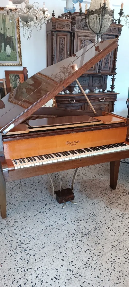 Piano à queue crapaud Gaveau 
