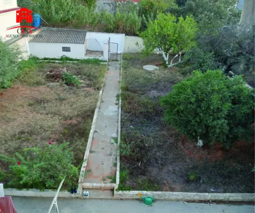 Vente Terrain Alger Birkhadem