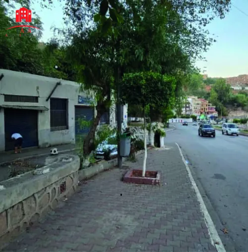Vente Terrain Alger Bab el oued