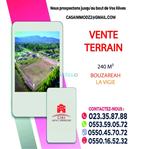 Vente Terrain Alger Bouzareah