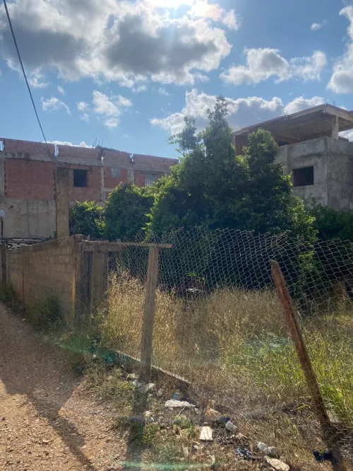 Vente Terrain Alger Birkhadem