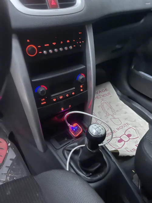 Peugeot 207 2012 Fennec