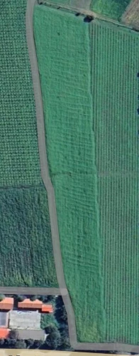 Vente Terrain Agricole Boumerdès Djinet