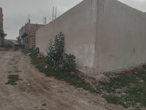 Vente Terrain Oran Marsat el hadjadj