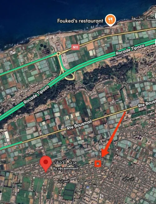 Vente Terrain Tipaza Fouka