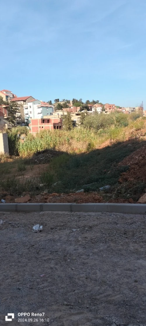 Vente Terrain Alger Saoula