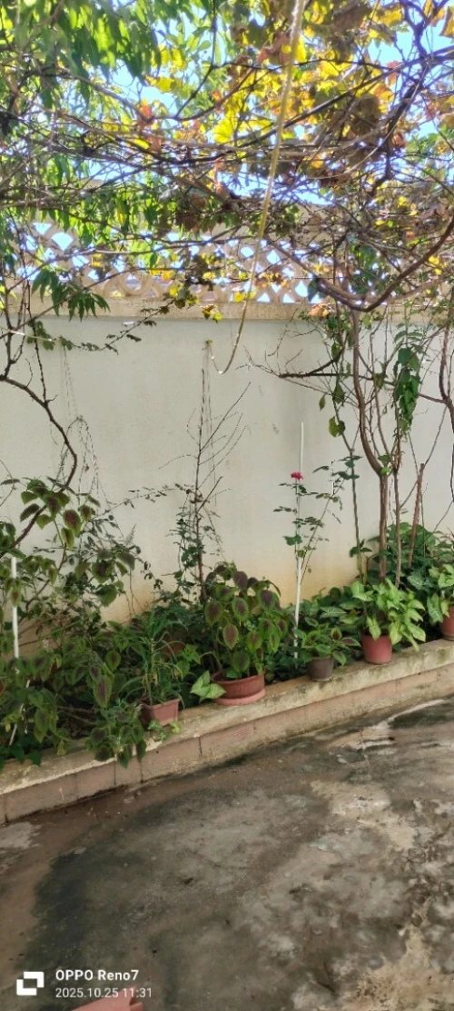 Vente Villa Alger Ouled chebel