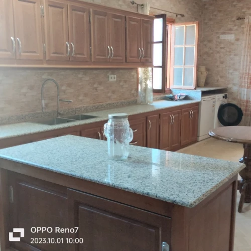 Vente Villa Blida Blida