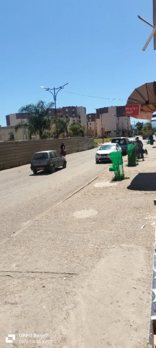 Vente Local Alger Les eucalyptus