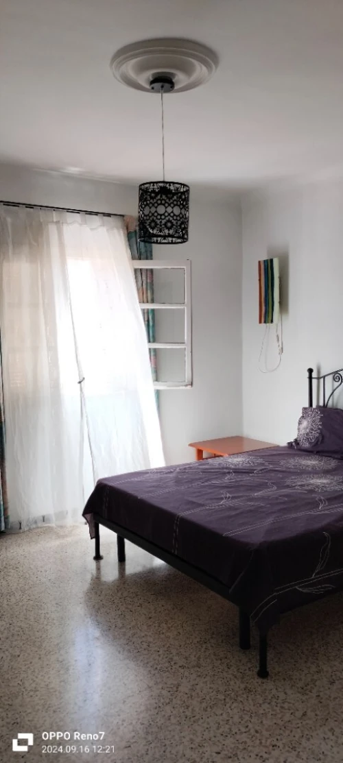 Vente Appartement F4 Alger Dely brahim
