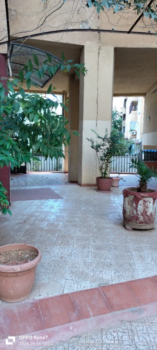 Vente Appartement F4 Alger Dely brahim