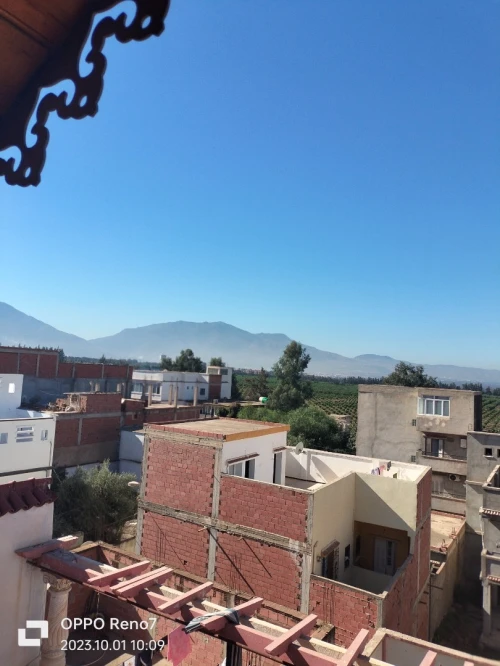 Vente Villa Blida Blida