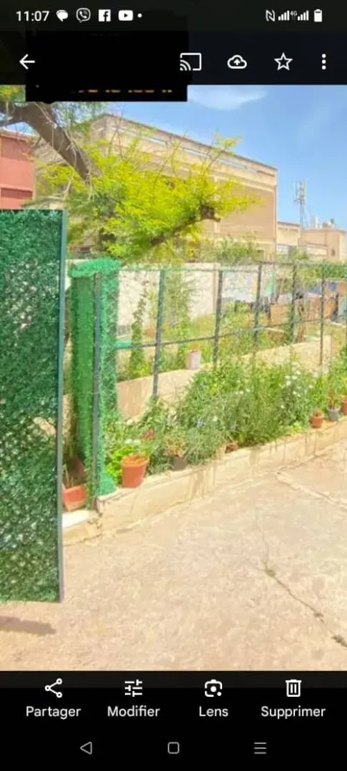 Vente Terrain Alger El biar