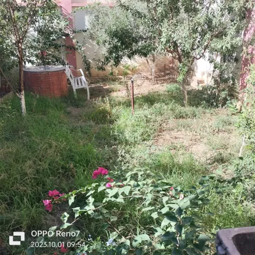 Vente Villa Blida Blida