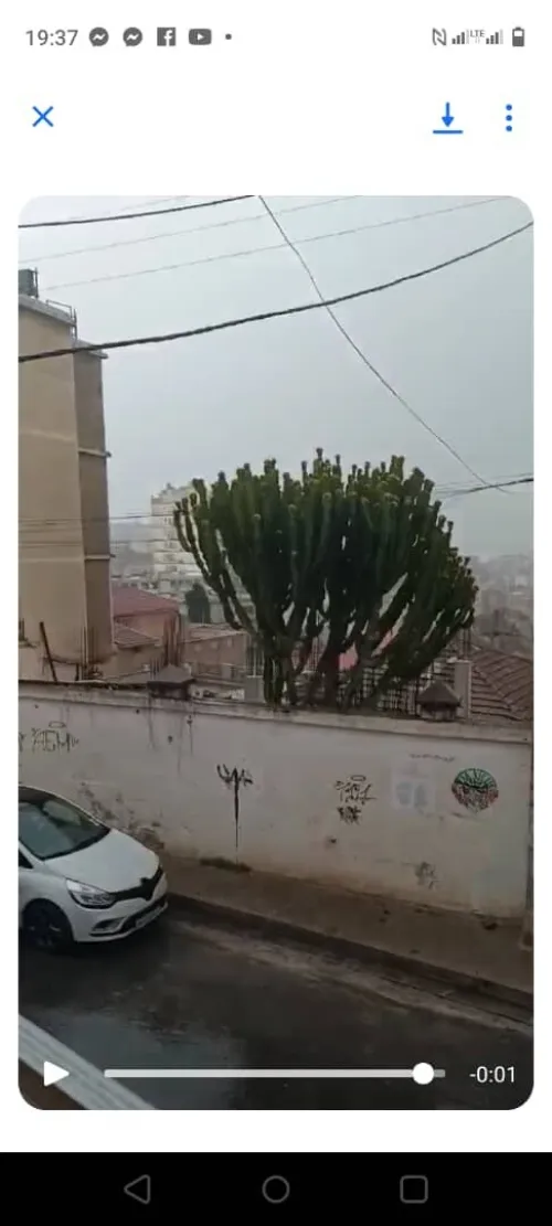 Vente Terrain Alger El biar