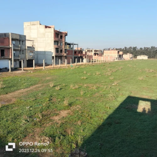 Vente Appartement Niveau de villa Alger Ouled chebel