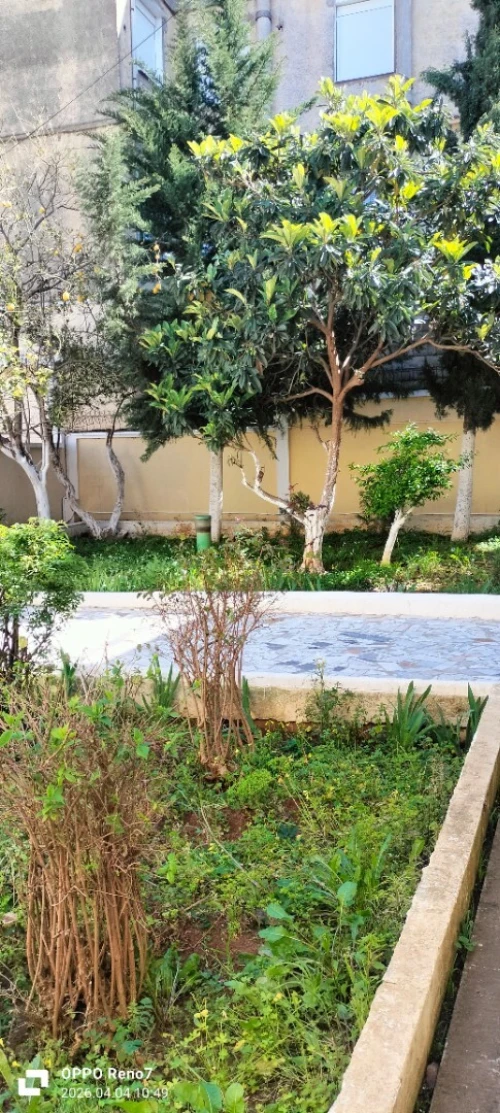 Vente Terrain Alger Birkhadem