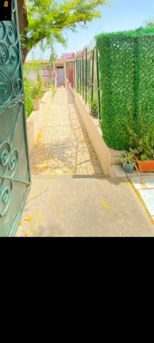 Vente Terrain Alger El biar