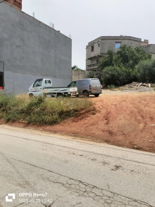 Vente Terrain Alger Saoula
