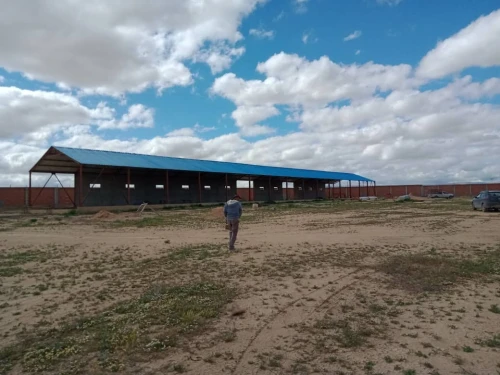 Vente Terrain Agricole Djelfa Birine
