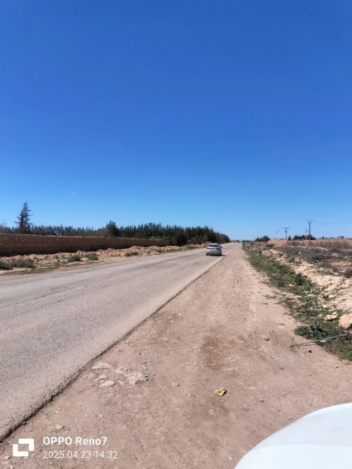 Vente Terrain Agricole Djelfa Hassi fedoul
