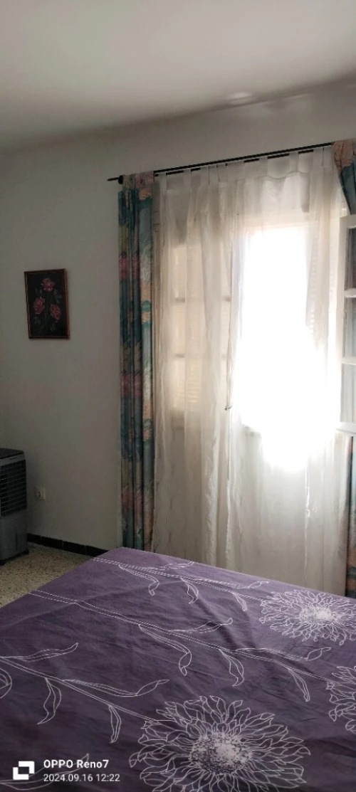 Vente Appartement F4 Alger Dely brahim