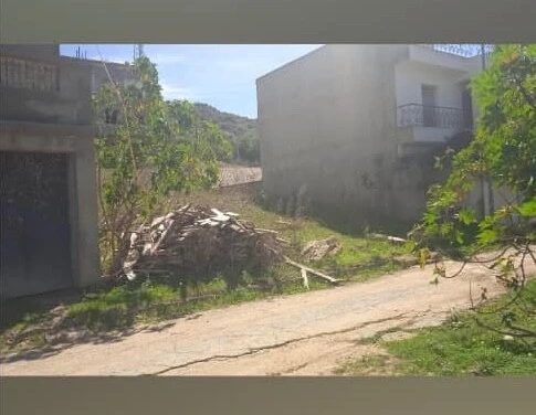 Vente Terrain Alger Mahelma
