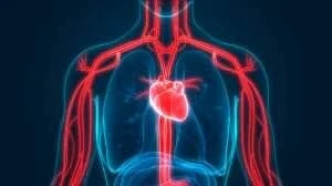 Medecin Spécialiste a domicile