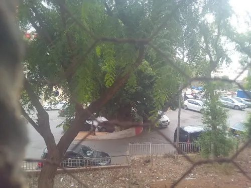 Vente Appartement F3 Alger Hydra