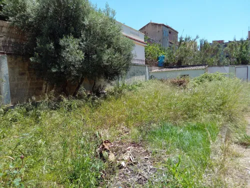 Vente Terrain Alger Birkhadem