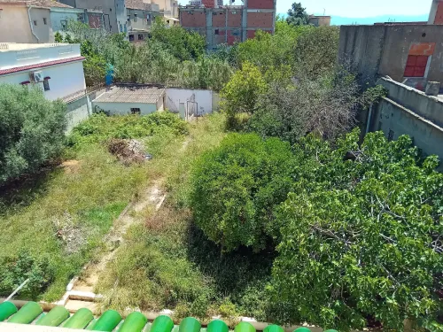 Vente Terrain Alger Birkhadem