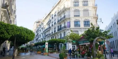 Cherche achat Appartement F3 Alger Alger centre