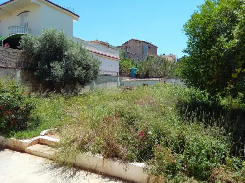 Vente Terrain Alger Birkhadem
