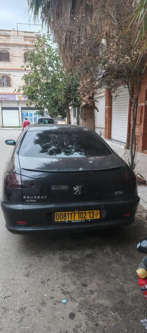 Peugeot 607 2002 607