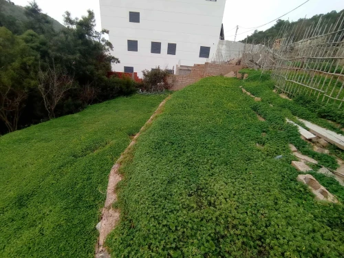 Vente Villa Tlemcen Dar yaghmouracene