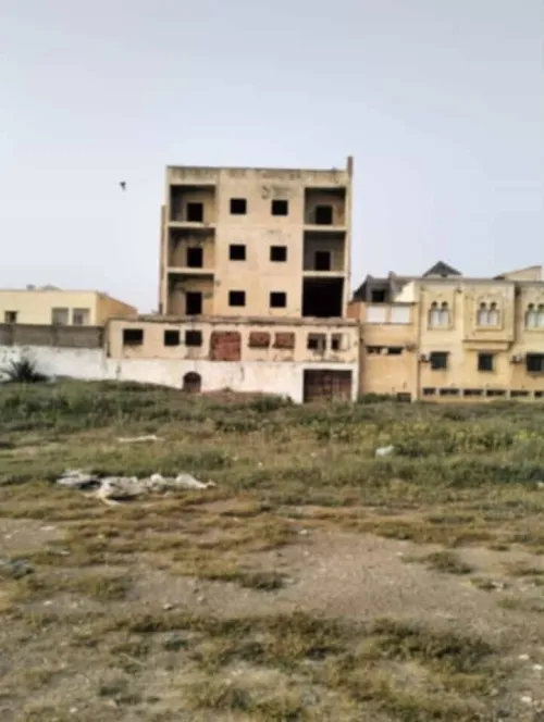Vente Terrain Alger Zeralda