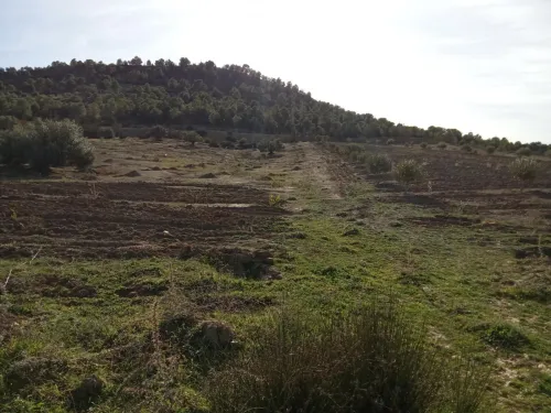 Vente Terrain Bouira Ahl el ksar
