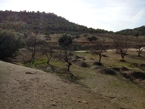Vente Terrain Bouira Ahl el ksar