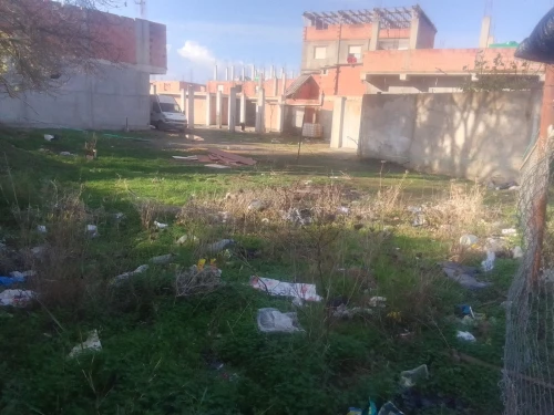 Vente Terrain Alger Sidi moussa