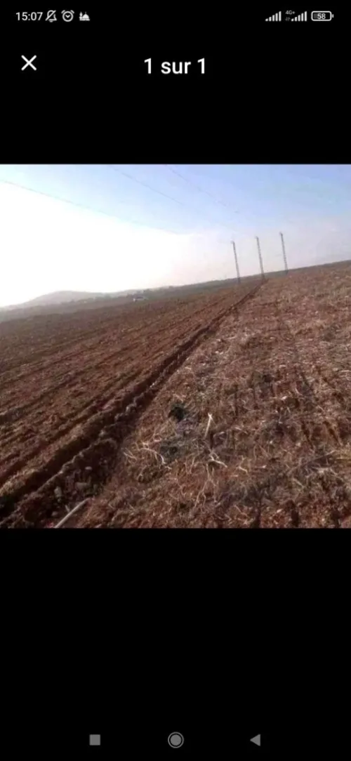 Vente Terrain Agricole Mascara Ghriss