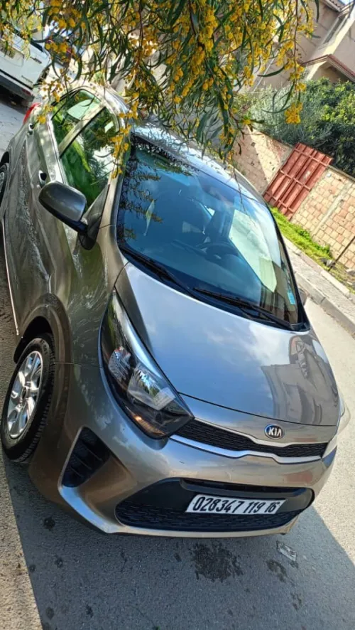 Kia Picanto 2019 EX