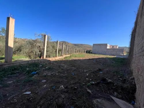 Vente Terrain Tlemcen Mansourah