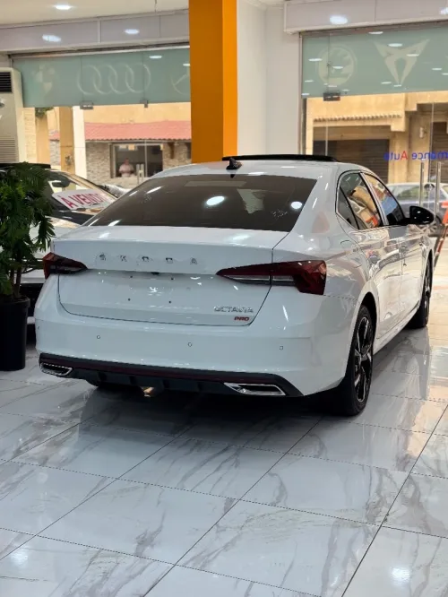 Skoda Octavia 2023 Pro