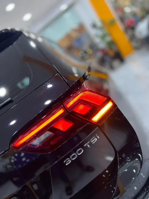 Volkswagen Tiguan 2025 Tigwan, L